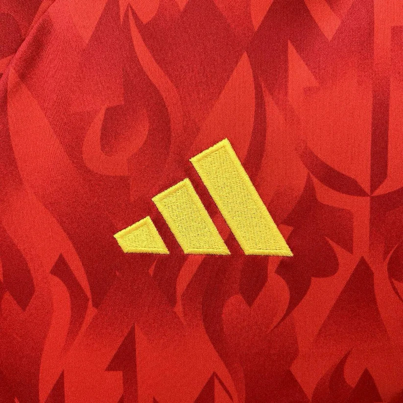 BELGIUM 2026 WORLD CUP HOME