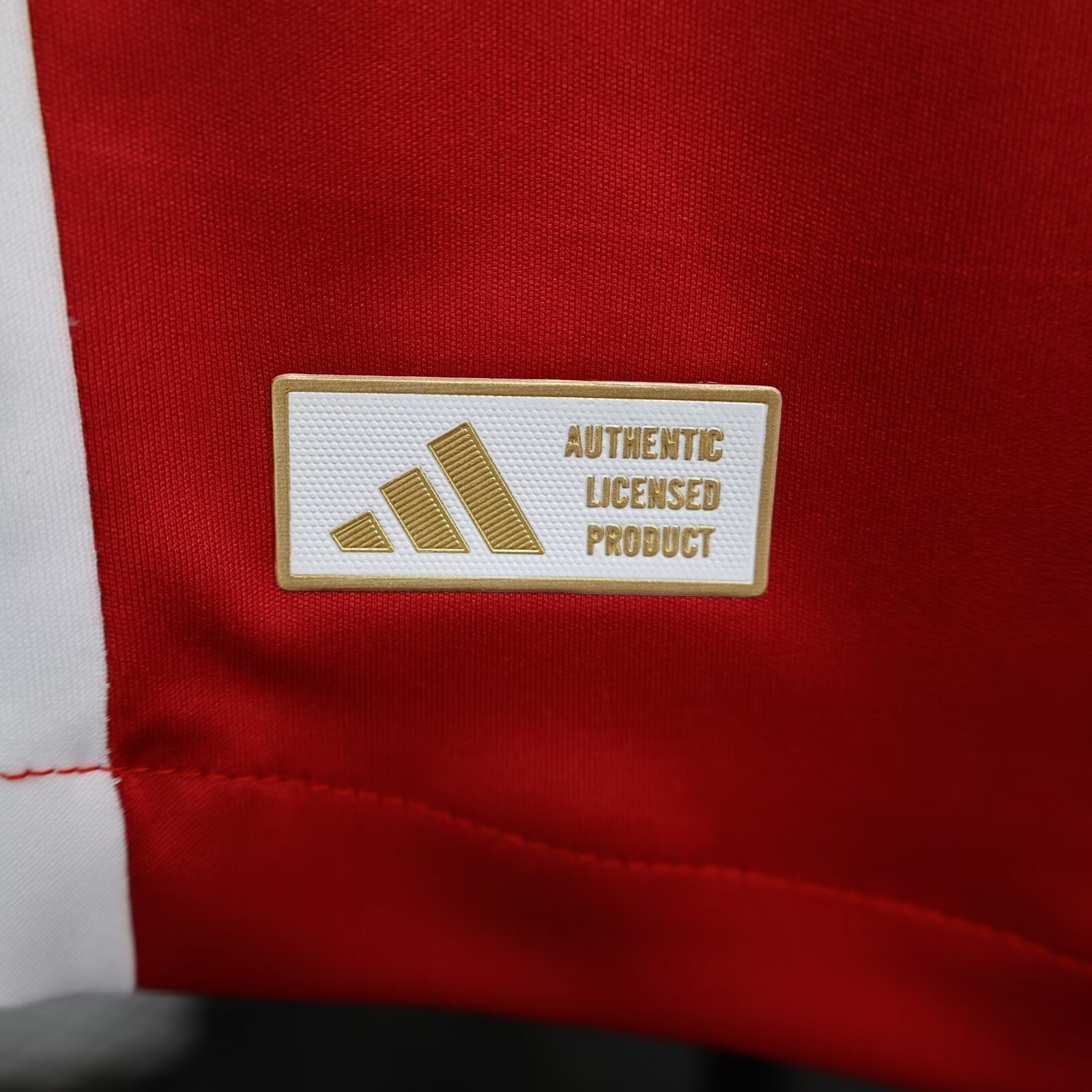 AJAX I 24/25 MEN (PLAYER VERSION)