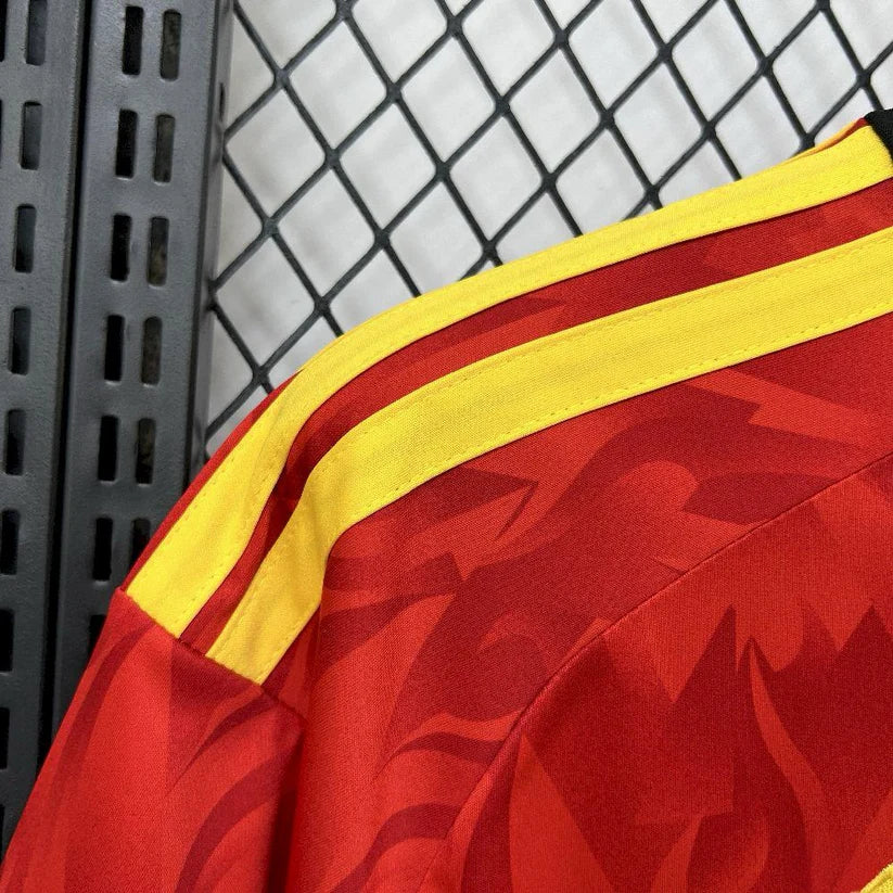 BELGIUM 2026 WORLD CUP HOME