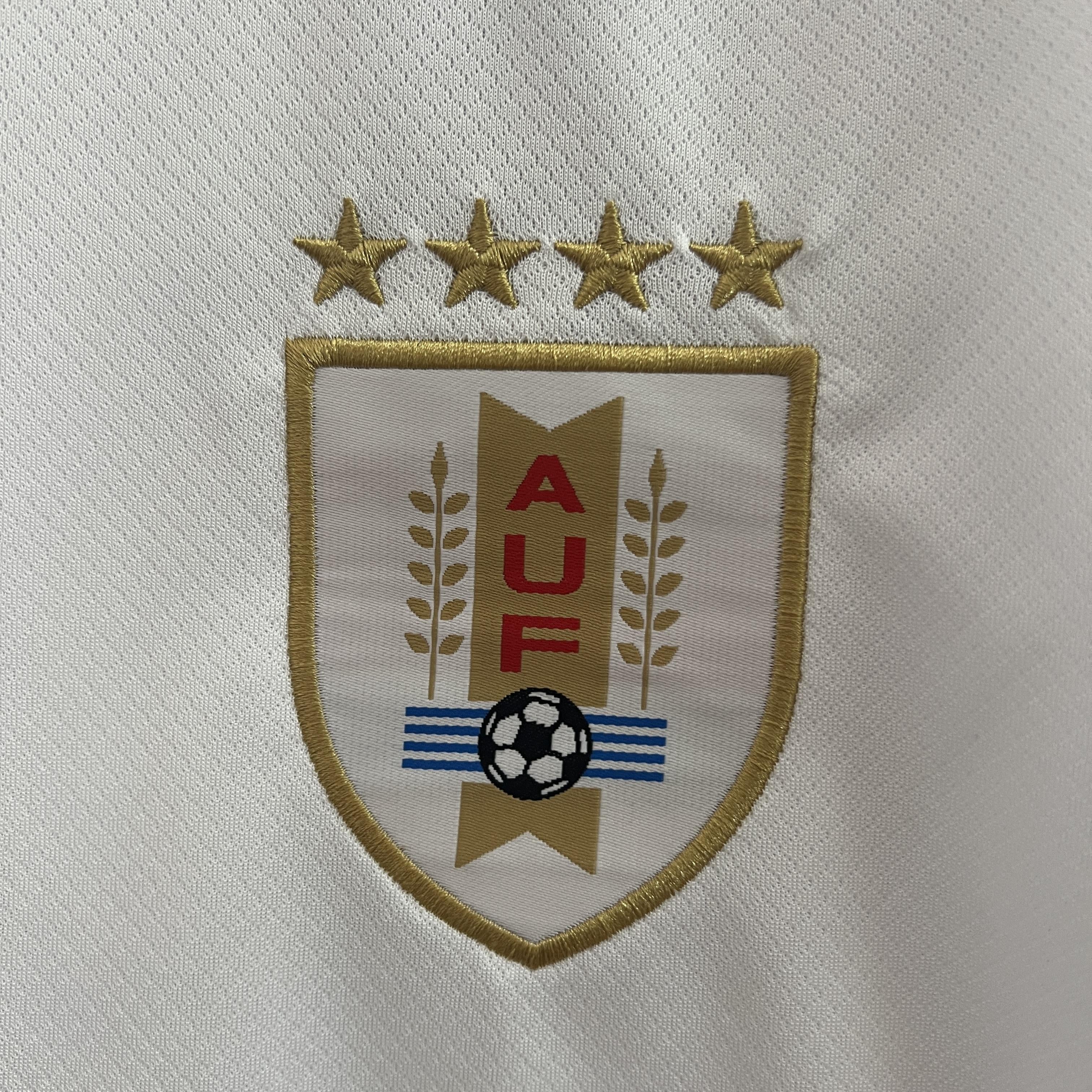JERSEY URUGUAY II 24/25 MEN CUP america 2024