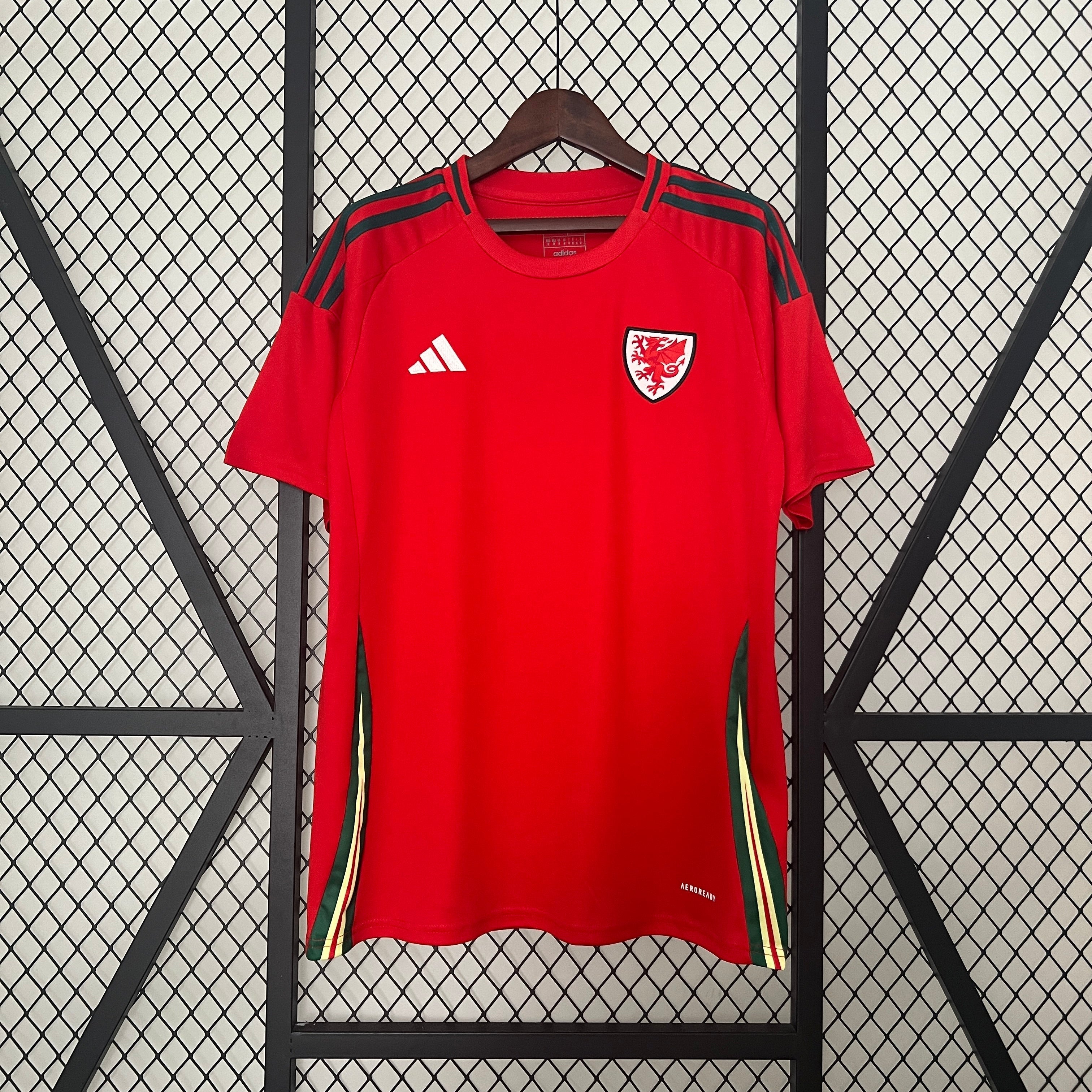 JERSEY WALES I EURO 2024 MEN